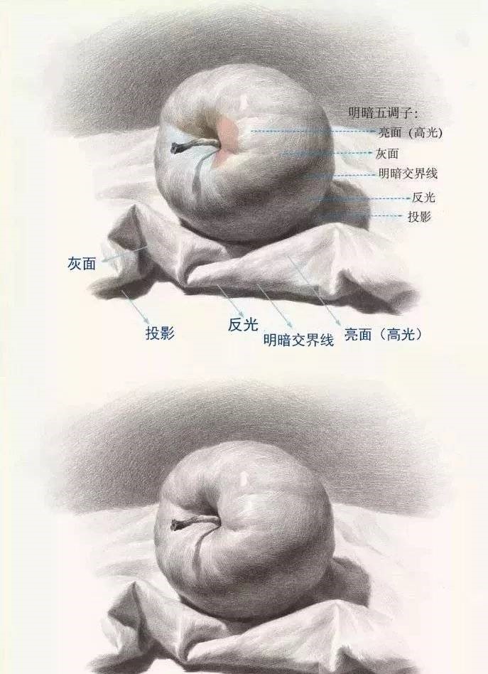 素描静物——苹果解析